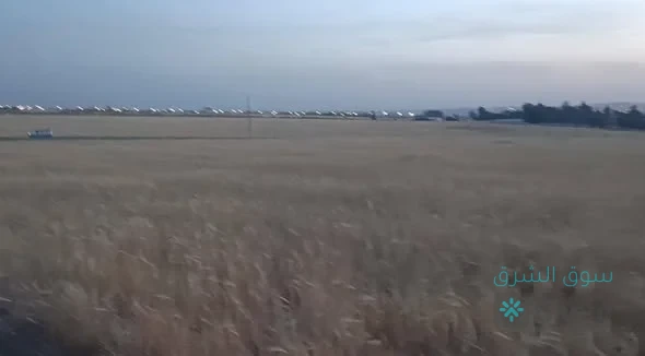 ارض للبيع