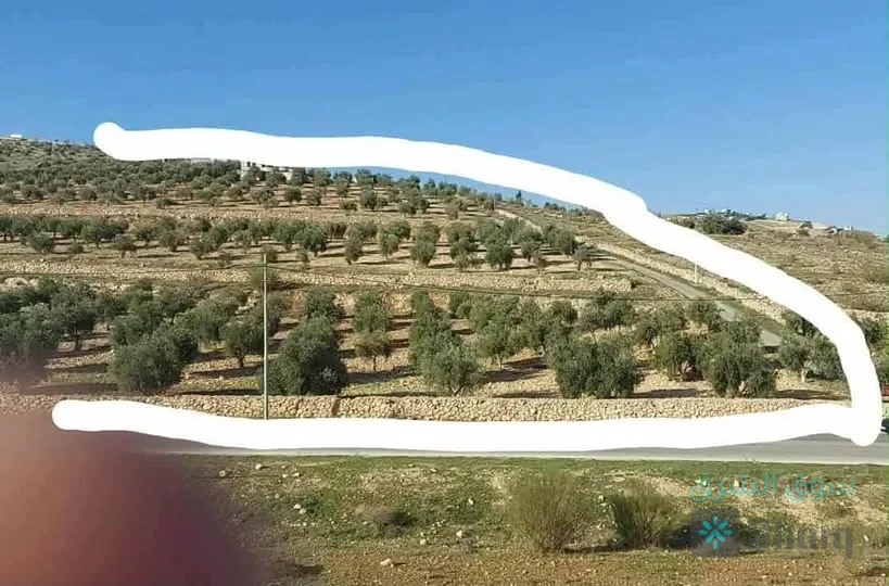 ارض للبيع