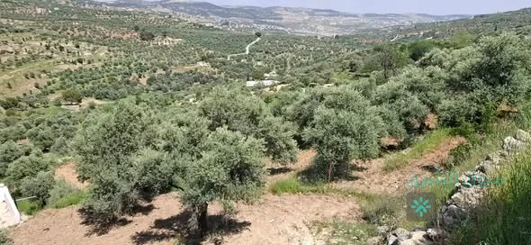 مزرعة للبيع