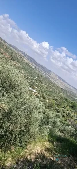 مزرعة للبيع — 3