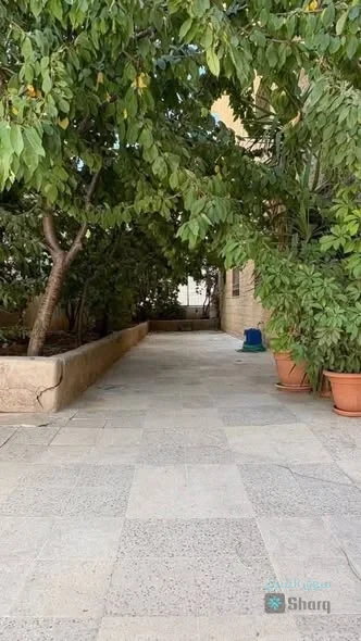 شقة ملوكي للبيع