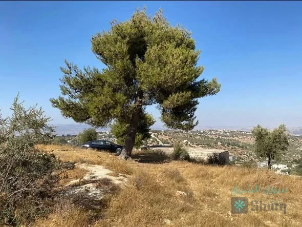 ارض للبيع