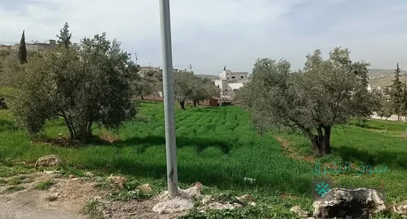ارض للبيع