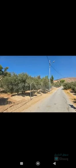 ارض للبيع — 3