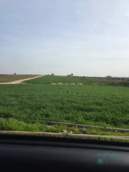 ارض للبيع