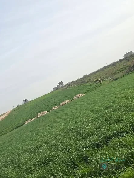 ارض للبيع — 2