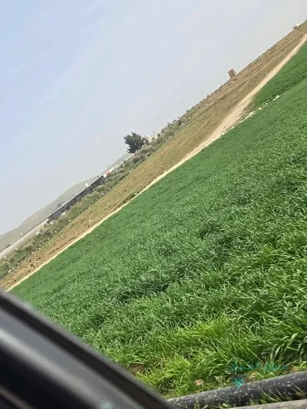 ارض للبيع — 3