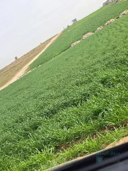 ارض للبيع — 4