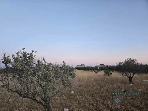 اراضي للبيع