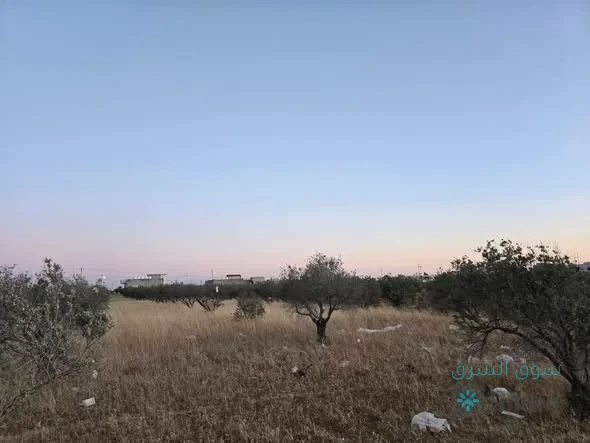اراضي للبيع — 3