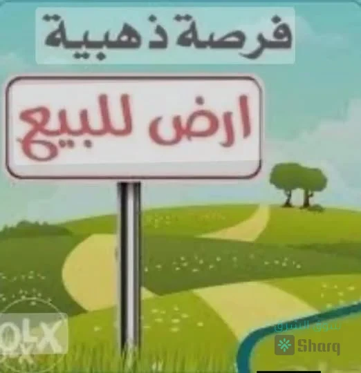 ارض للبيع
