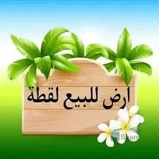 ارض للبيع