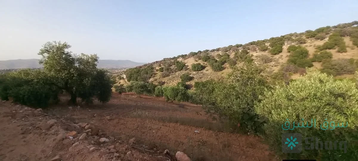 ارض للبيع