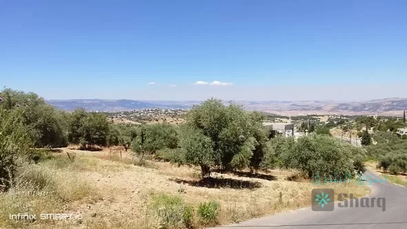 أرض للبيع