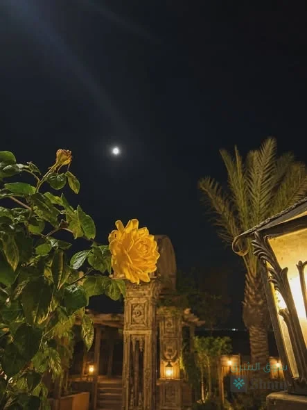 مزرعة للايجار