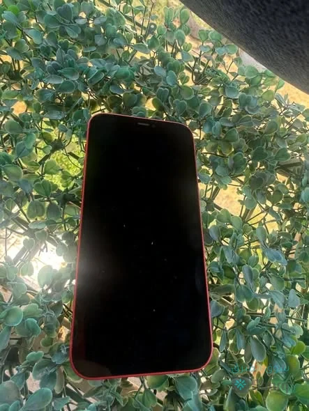 iPhone [12] — 2