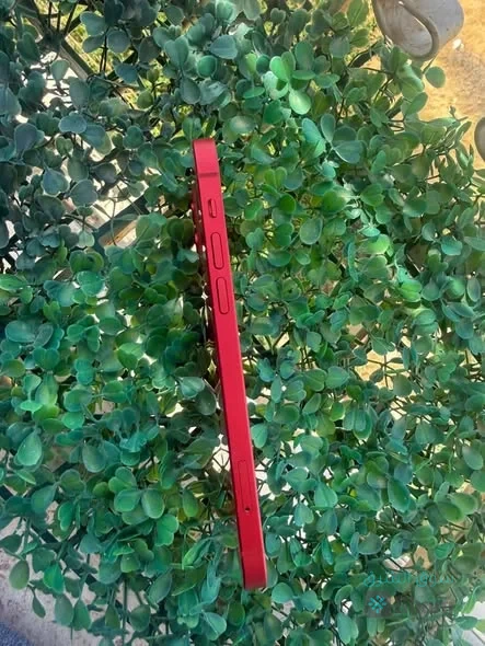 iPhone [12] — 3