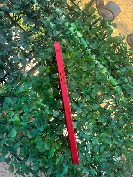 iPhone [12] — 4