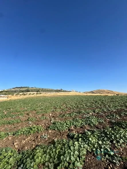 ارض للبيع — 3