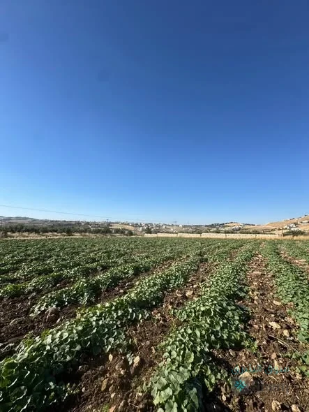ارض للبيع — 4