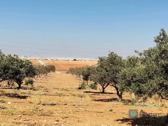 ارض للبيع — 2