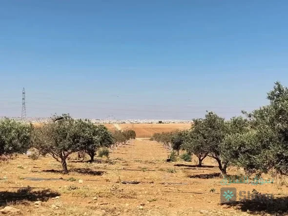 ارض للبيع — 3