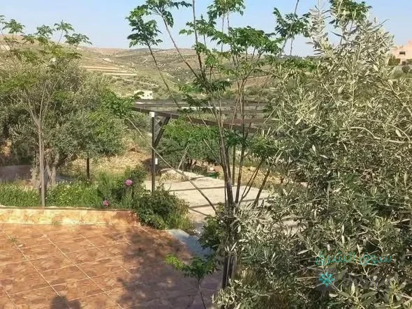 ارض للبيع — 3